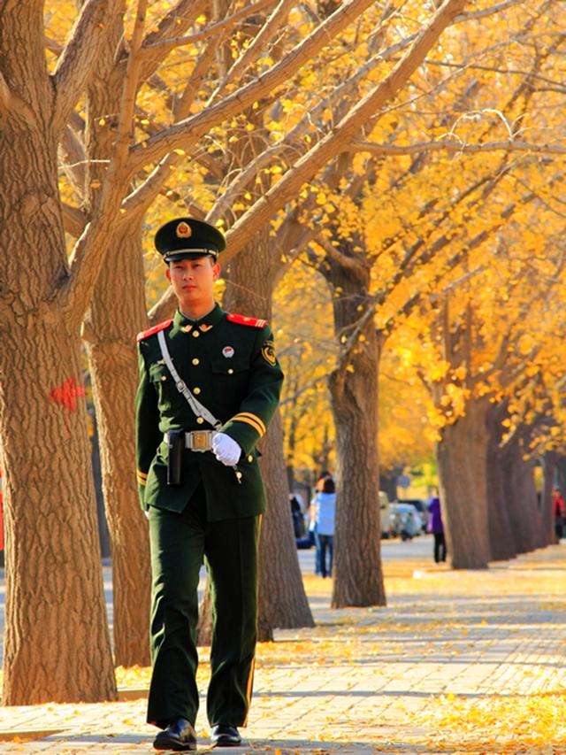 Late Fall in Beijing