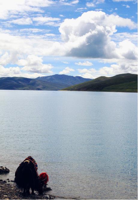 Yamdrok Lake