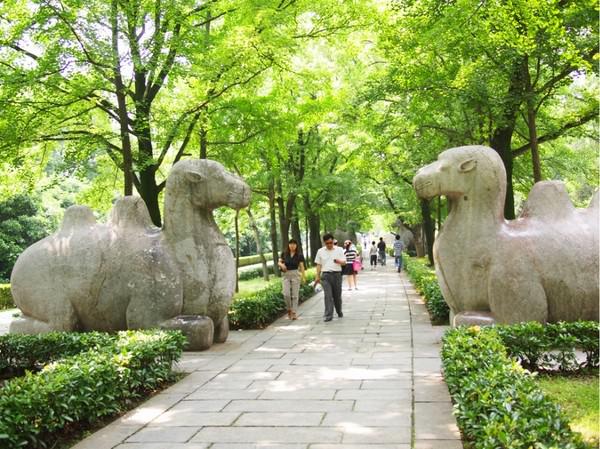 A Trip to Nanjing in June