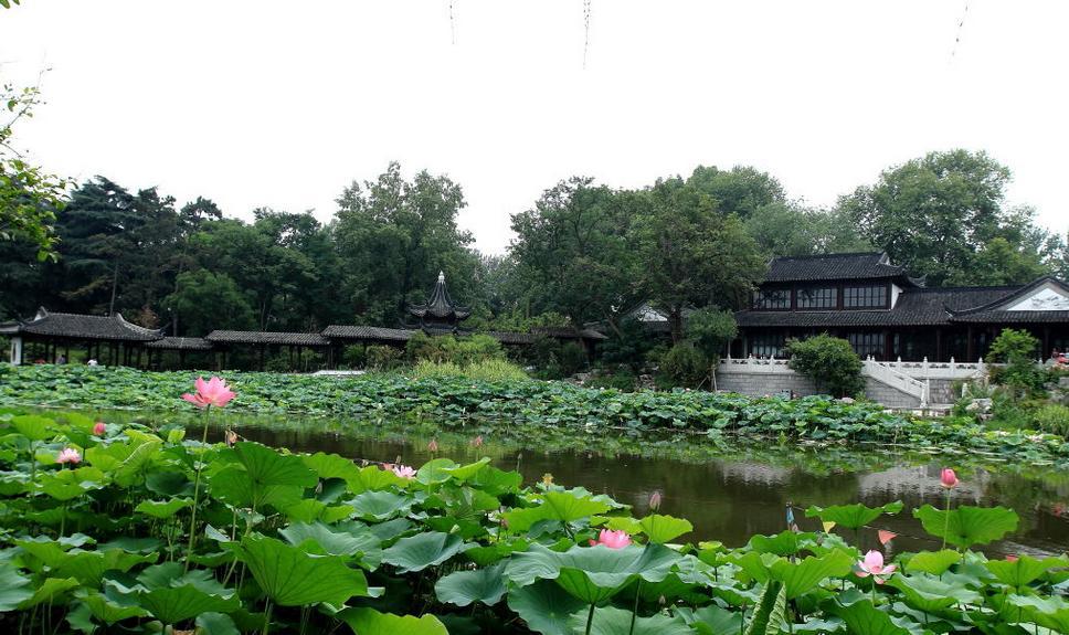 A Trip to Nanjing in June