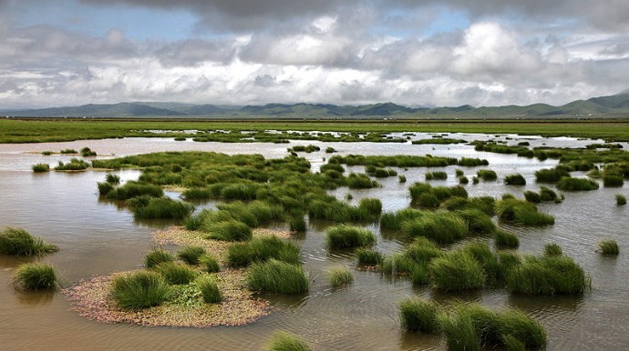 The Most Charming Wetland — Flower Lake in Sichuan