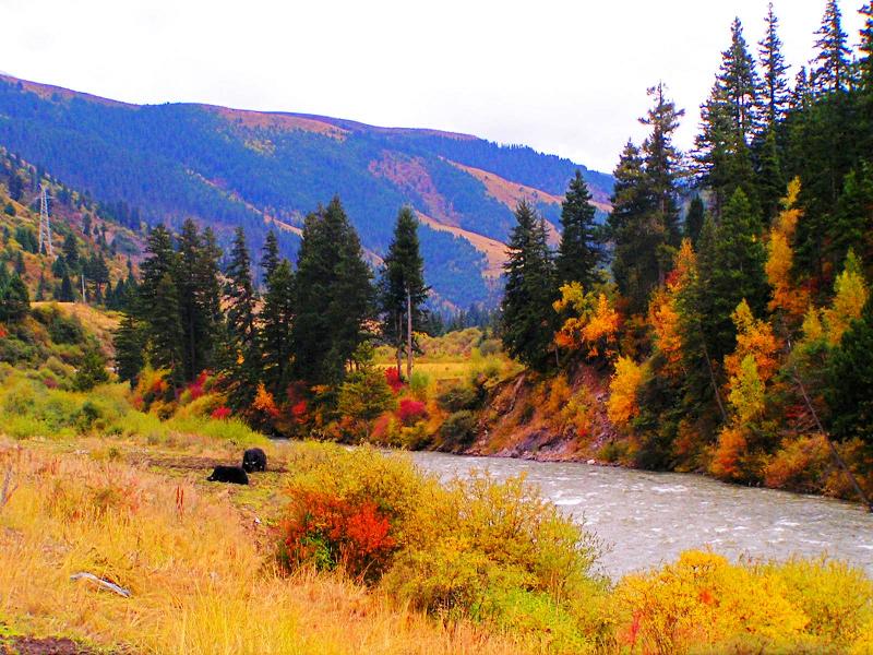 Best Time to Travel to Jiuzhaigou in Sichuan